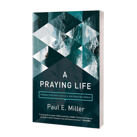 A Praying Life: Connecting With God In A Distracting World