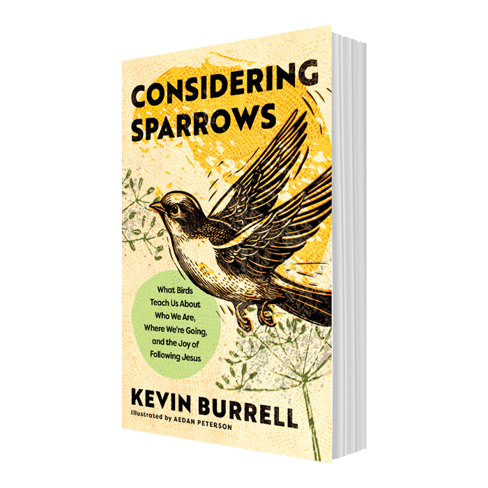 Considering Sparrows