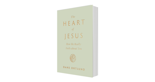 The Heart of Jesus: How He Really Feels About You