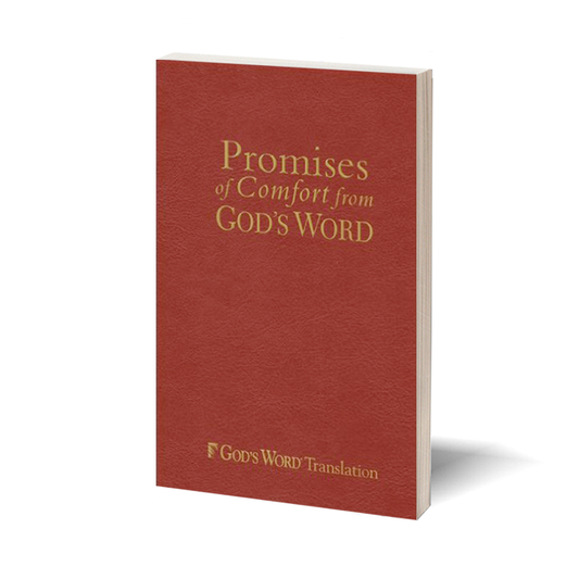Promises of Comfort from God's Word